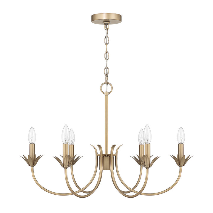 HunterJunie BudSix Light Chandelier