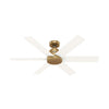 Hunter Kennicott | Outdoor Ceiling Fan