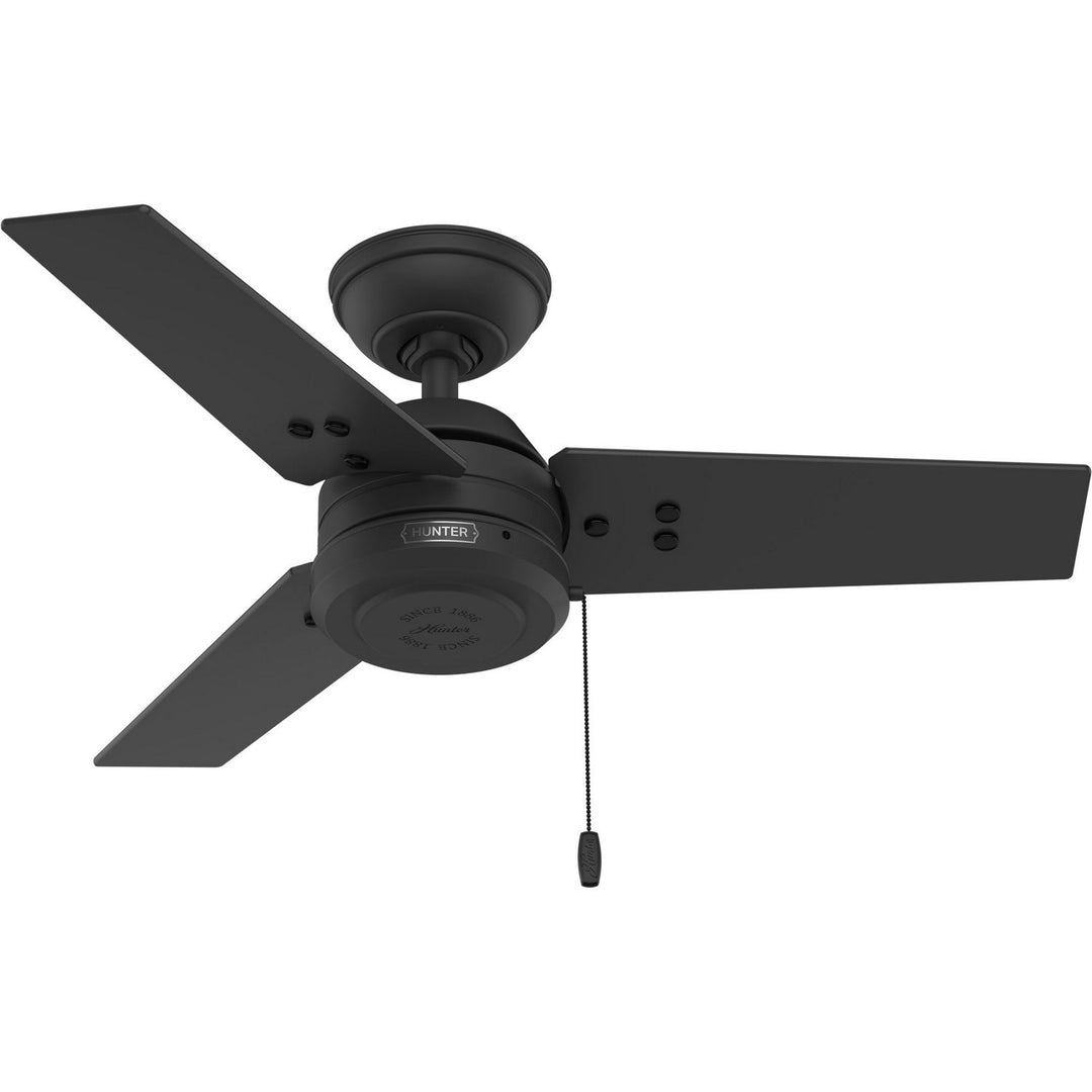 HunterCassius36" Ceiling Fan