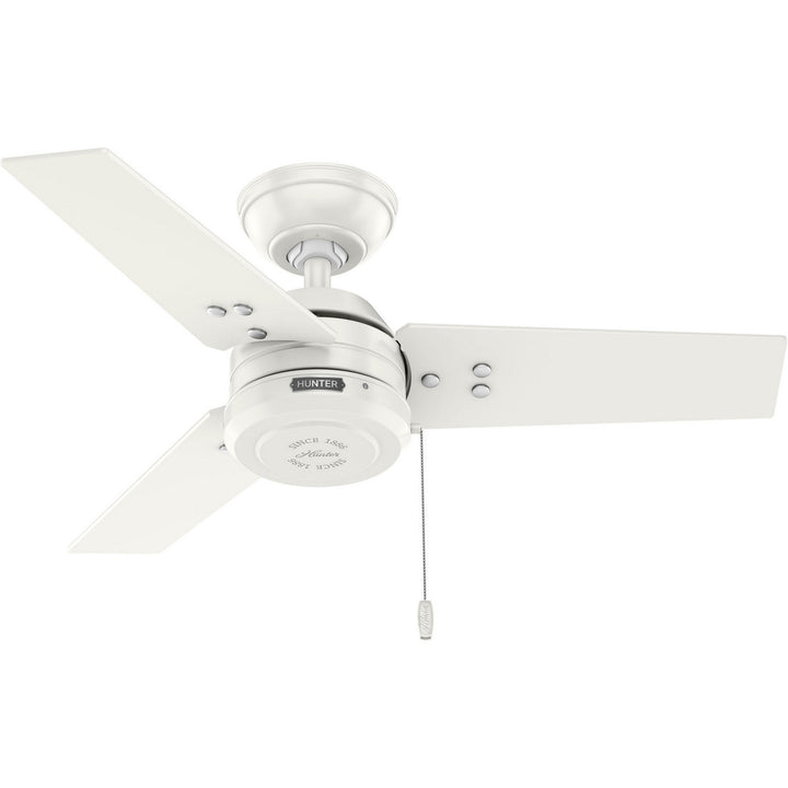 HunterCassius36" Ceiling Fan