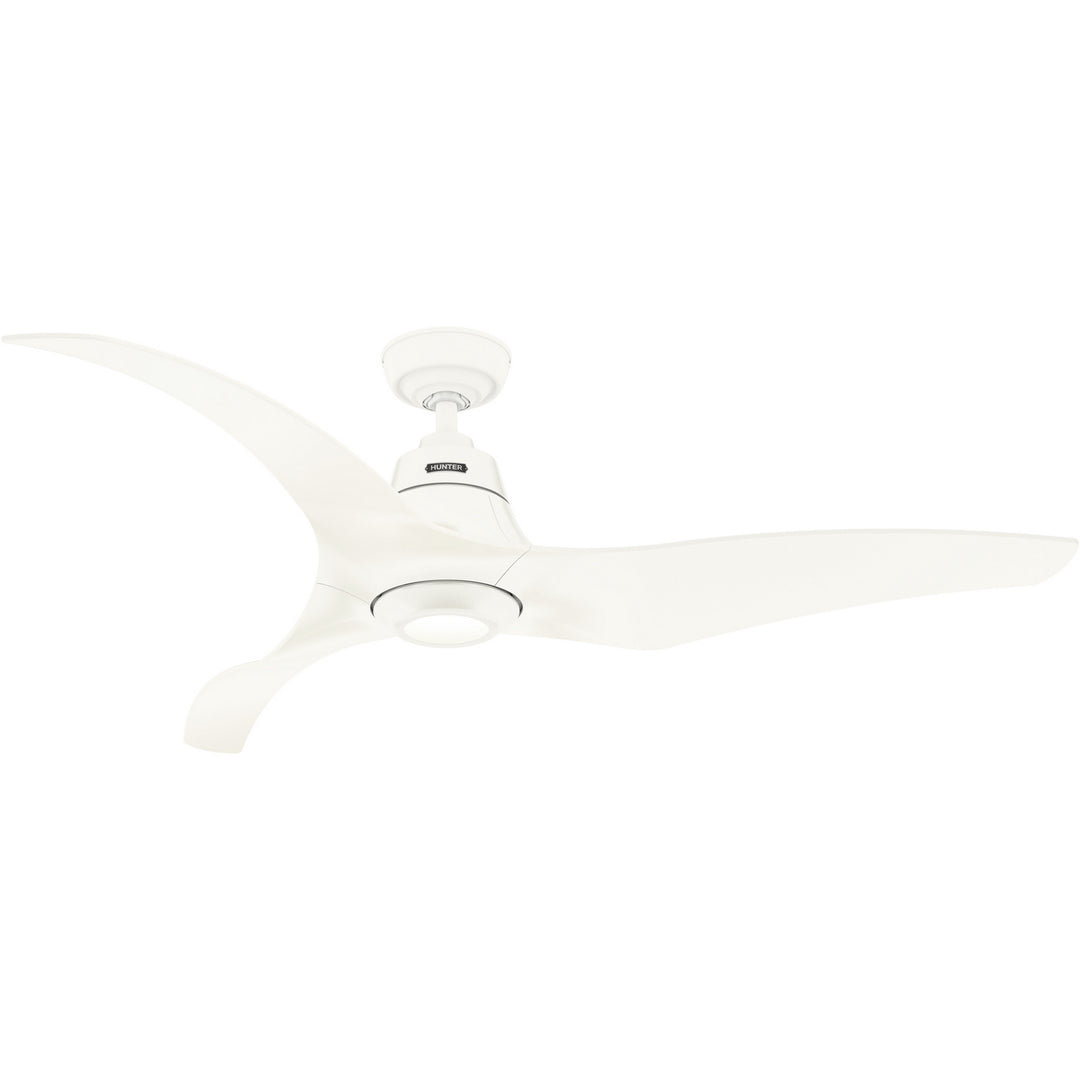 HunterArwen60" Ceiling Fan