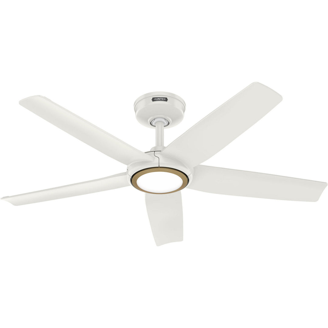 HunterZentech44" Ceiling Fan