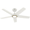 Hunter Zentech 44" Damp-Rated 5-Blade Ceiling Fan