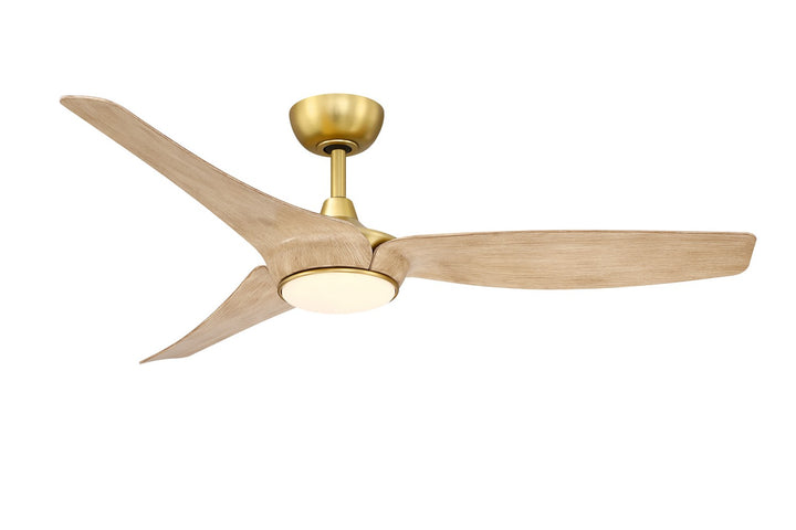FanimationLizza56" Ceiling Fan