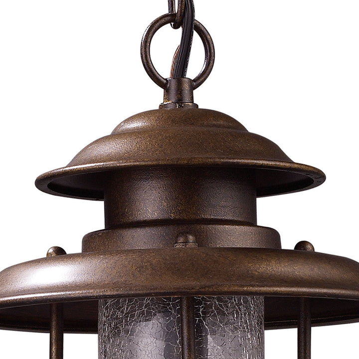 ELK Home One Light Outdoor Pendant