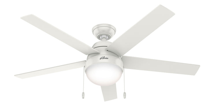 Hunter Fan Anslee Pull Chain Ceiling Fan with 18W LED