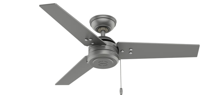 Hunter Fan Cassius Indoor/Outdoor Pull Chain Ceiling Fan