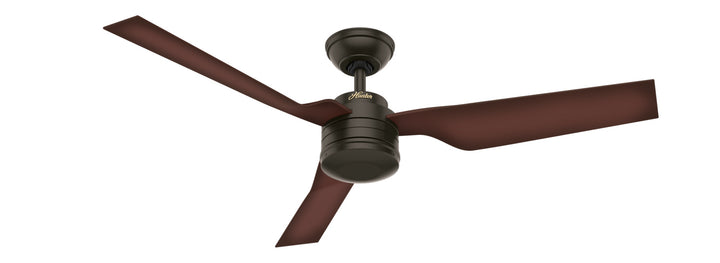 Hunter Fan Cabo Frio 52" Indoor/Outdoor Ceiling Fan with Wall Control