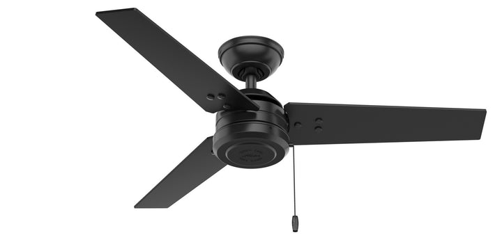 Hunter Fan Cassius Indoor/Outdoor Pull Chain Ceiling Fan