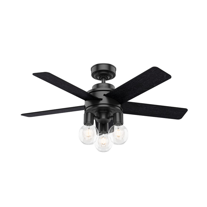 Hunter Fan Hardwick Ceiling Fan with 18W LED and Remote