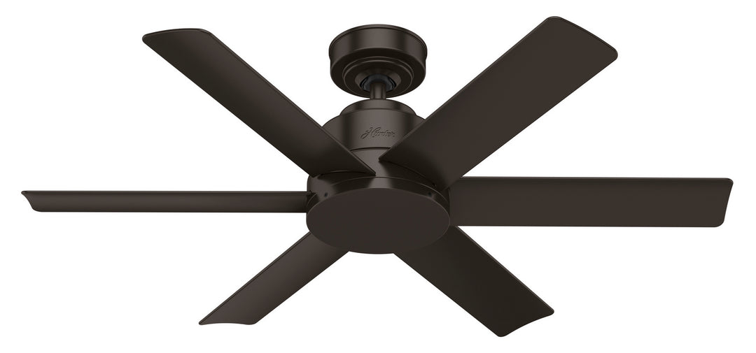 Hunter Fan Kennicott Indoor/Outdoor Ceiling Fan with Wall Control