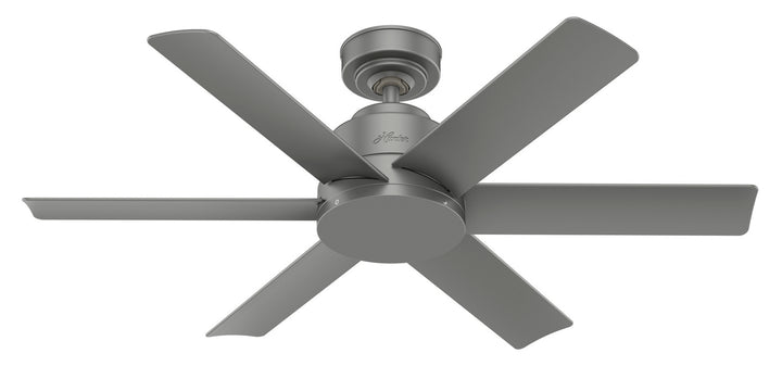 Hunter Fan Kennicott Indoor/Outdoor Ceiling Fan with Wall Control