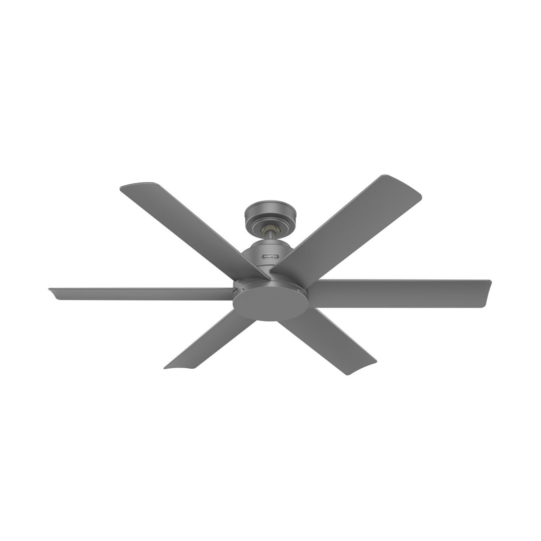 Hunter Fan Kennicott Indoor/Outdoor Ceiling Fan with Wall Control