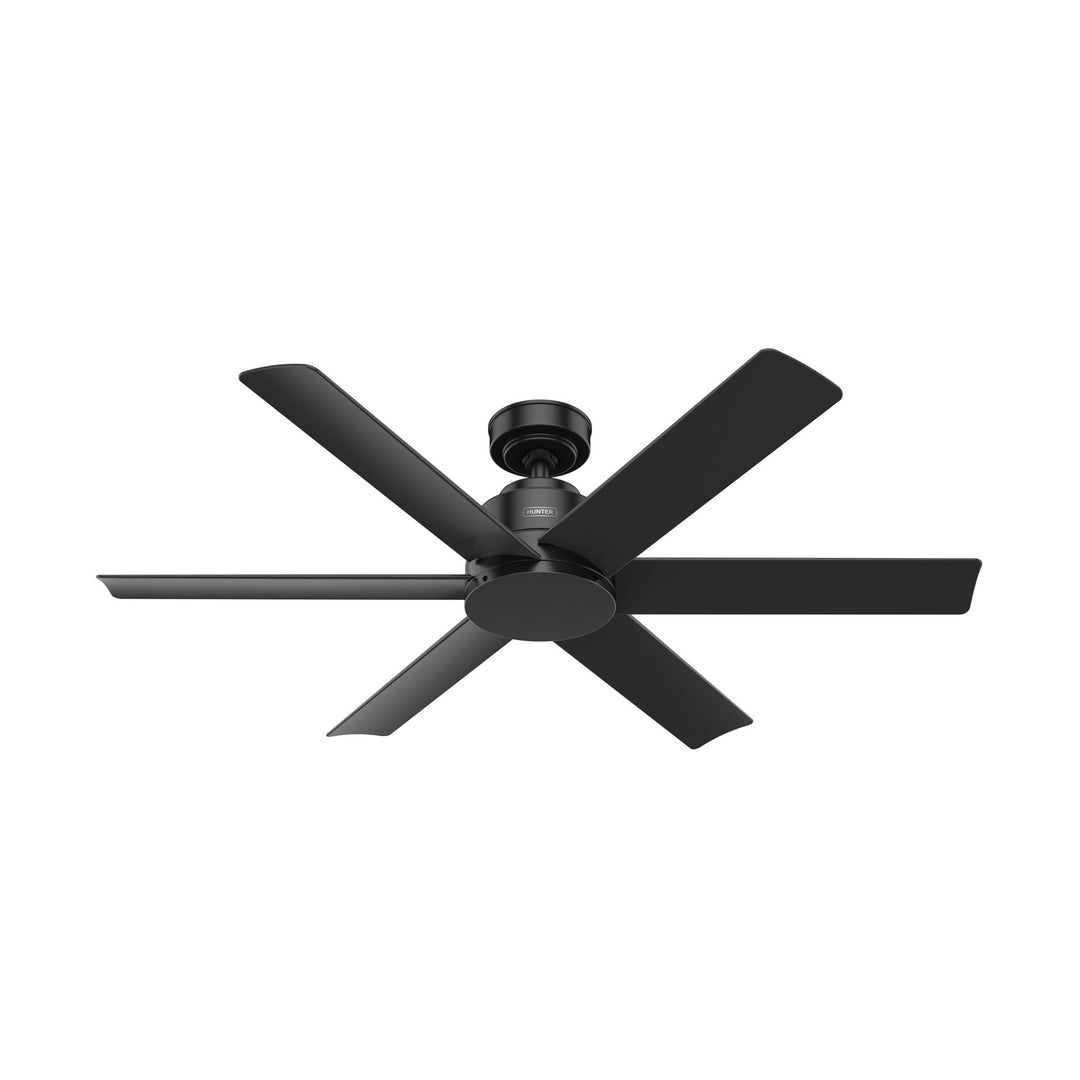 Hunter Fan Kennicott Indoor/Outdoor Ceiling Fan with Wall Control