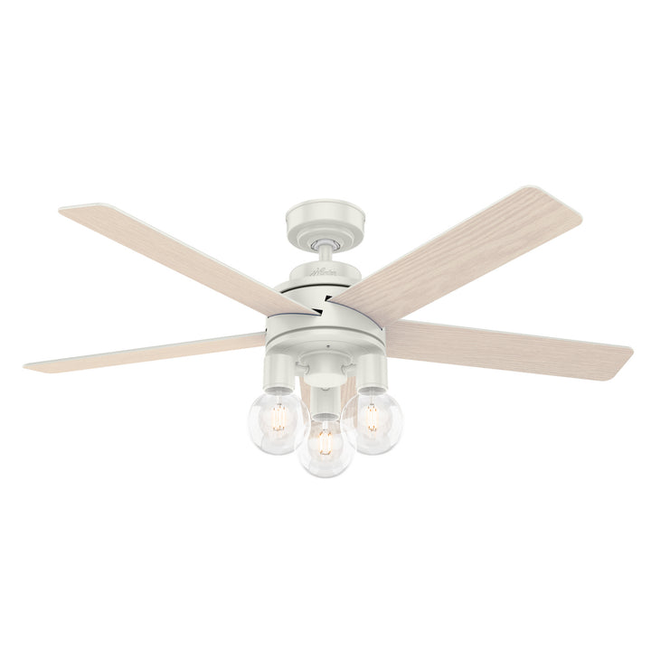 Hunter Fan Hardwick Ceiling Fan with 18W LED and Remote