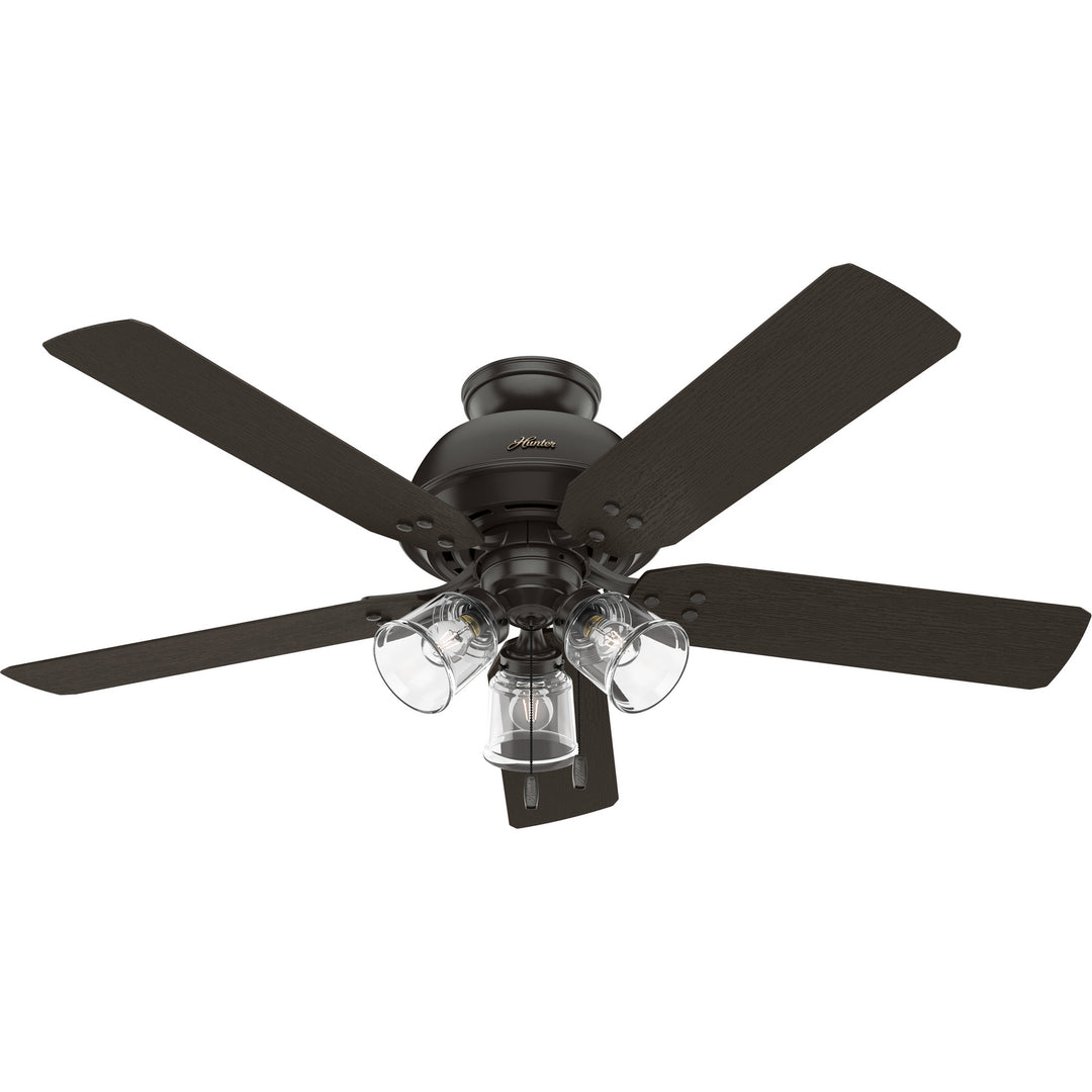 Hunter Fan River Ridge 52" Indoor/Outdoor Pull Chain Ceiling Fan with 14W