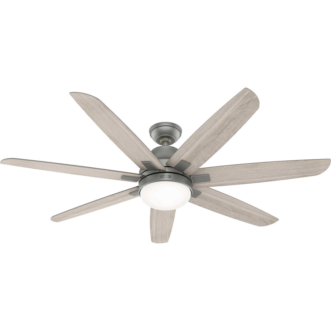 Hunter Fan Wilder 60" Indoor DC Ceiling Fan with 18W LED and Wall Control