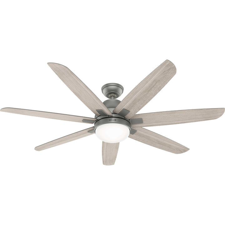 Hunter Fan Wilder 60" Indoor DC Ceiling Fan with 18W LED and Wall Control