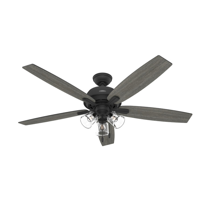 Hunter Fan Dondra 60" Pull Chain Ceiling Fan with 13W LED