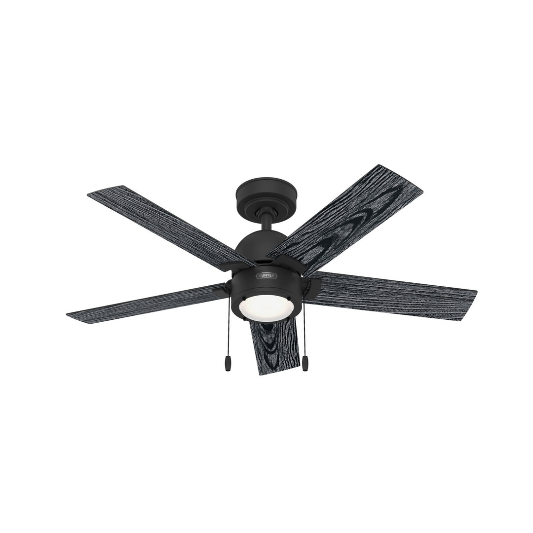 Hunter Fan Erling Pull Chain Ceiling Fan with 18W LED