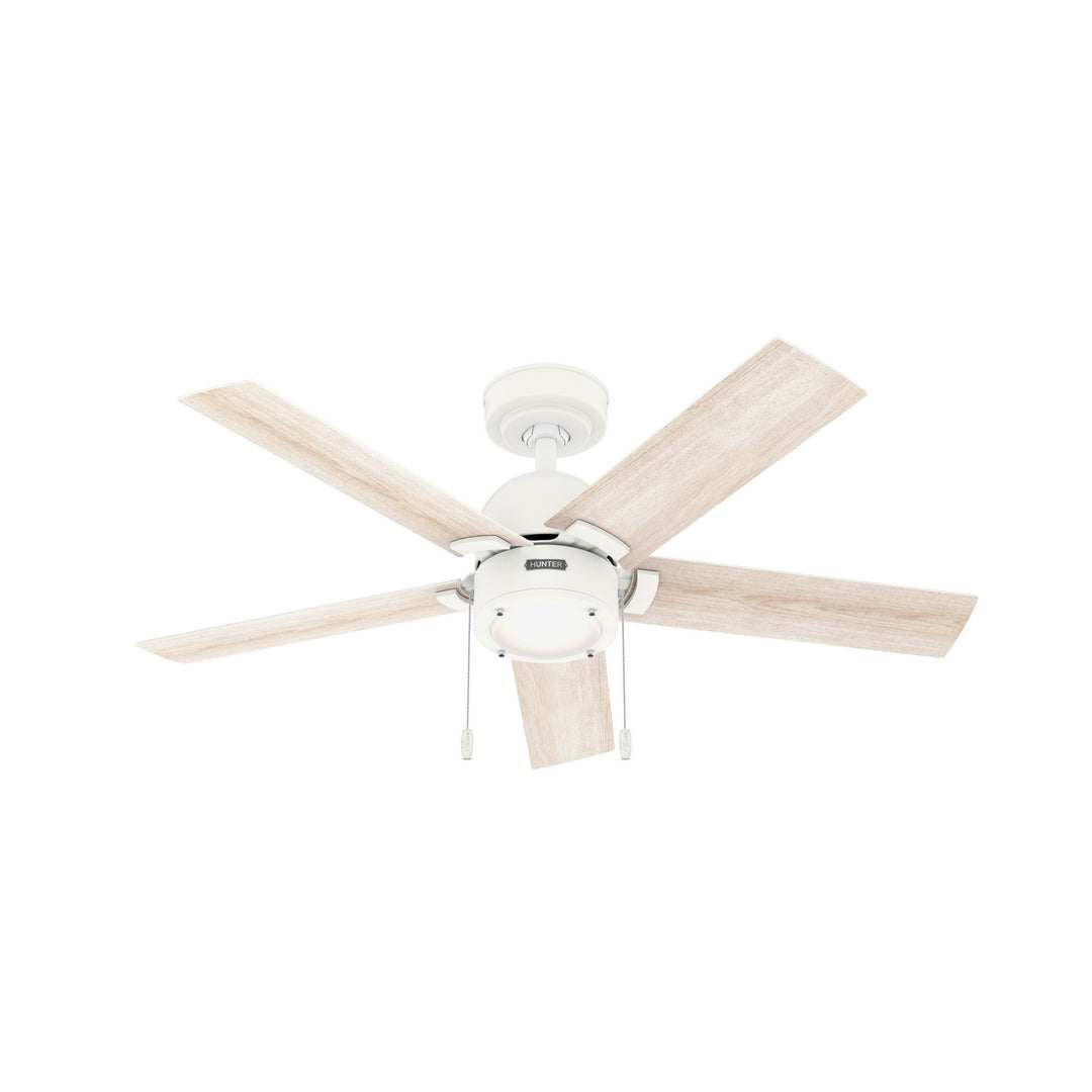 Hunter Fan Erling Pull Chain Ceiling Fan with 18W LED