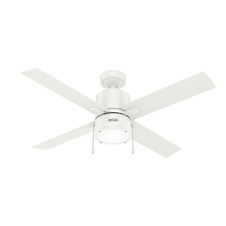 Hunter Fan Beck Pull Chain Ceiling Fan with 18W LED