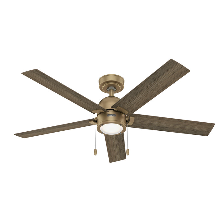 Hunter Fan Erling Pull Chain Ceiling Fan with 18W LED