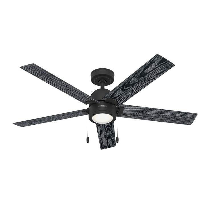 Hunter Fan Erling Pull Chain Ceiling Fan with 18W LED