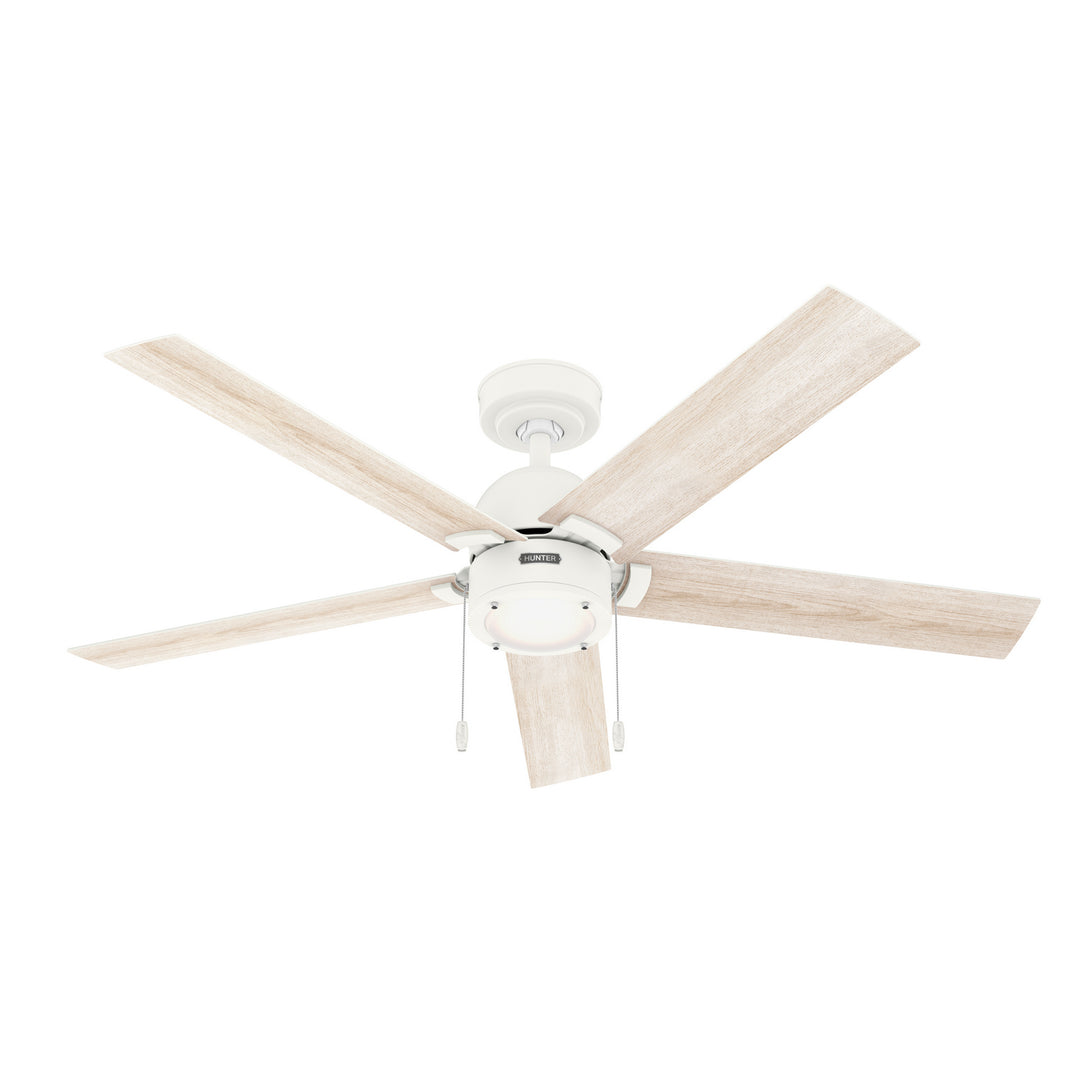 Hunter Fan Erling Pull Chain Ceiling Fan with 18W LED