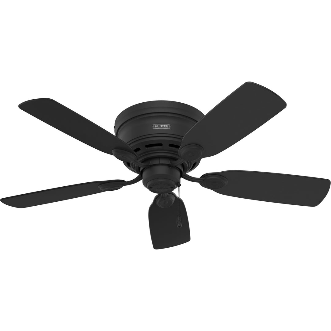 Hunter Fan Low Profile IV 42" Indoor Flushmount Pull Chain Ceiling Fan