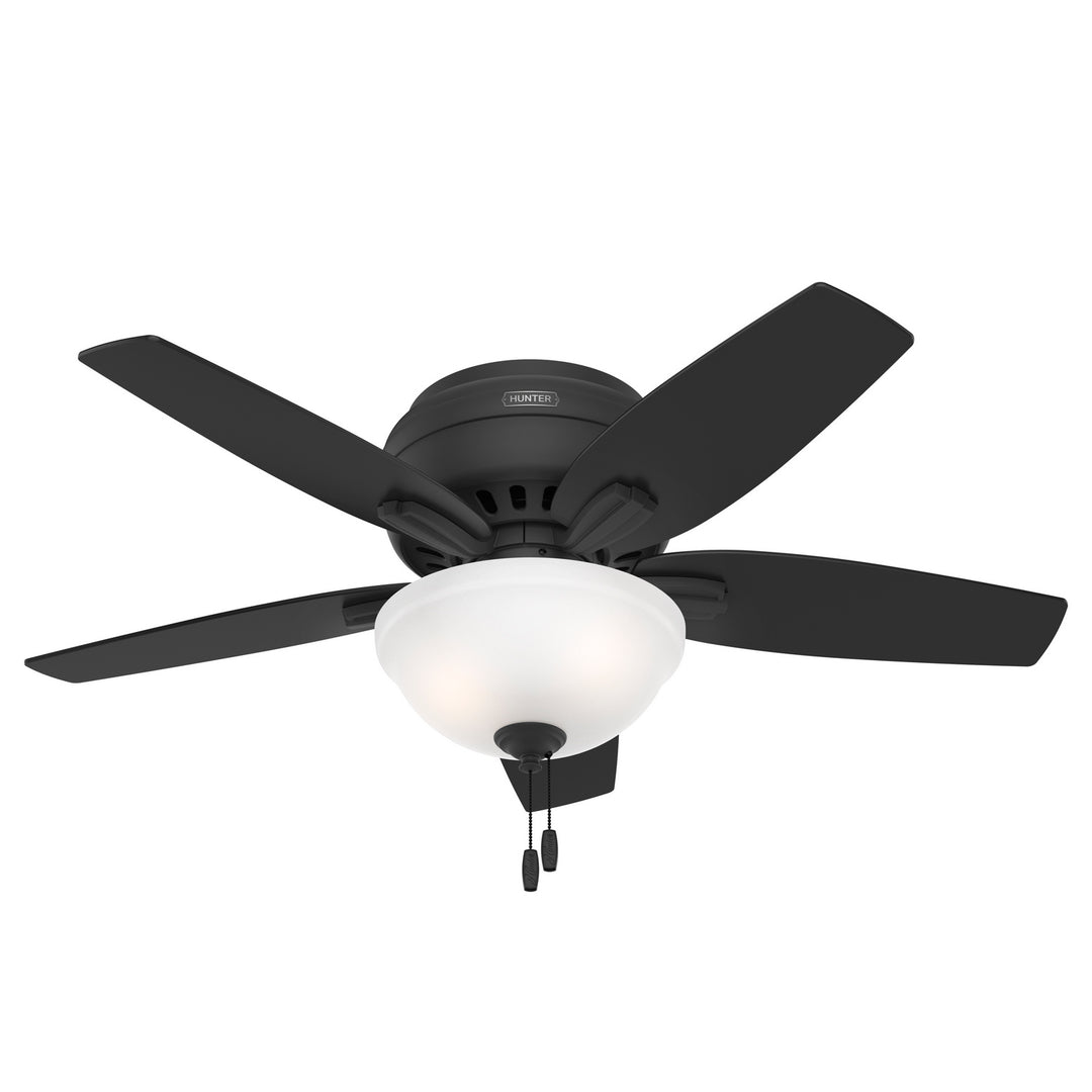 Hunter Fan Newsome Flushmount Pull Chain Ceiling Fan with 18W LED