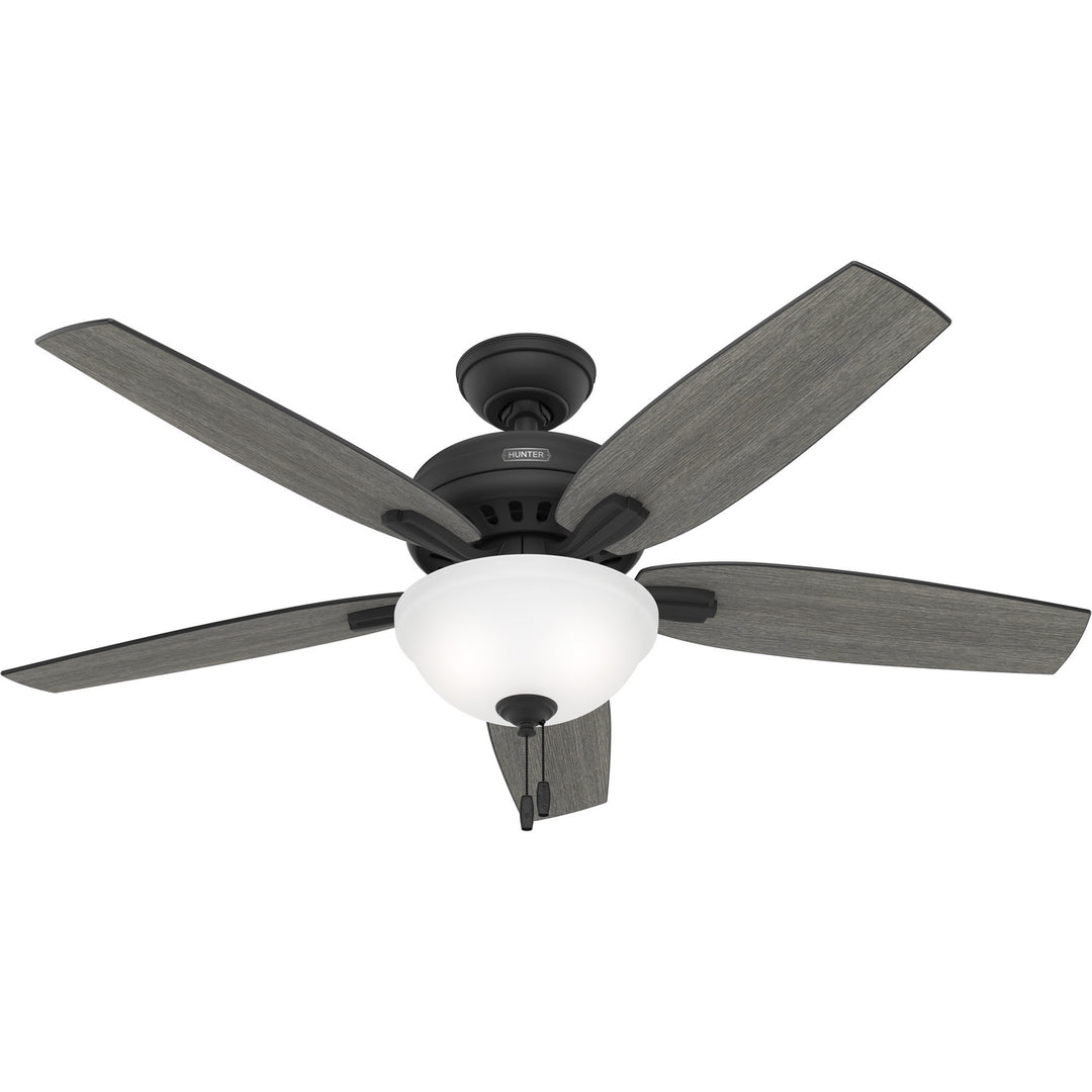 Hunter Fan Newsome 52" Indoor Pull Chain Ceiling Fan with 18W LED