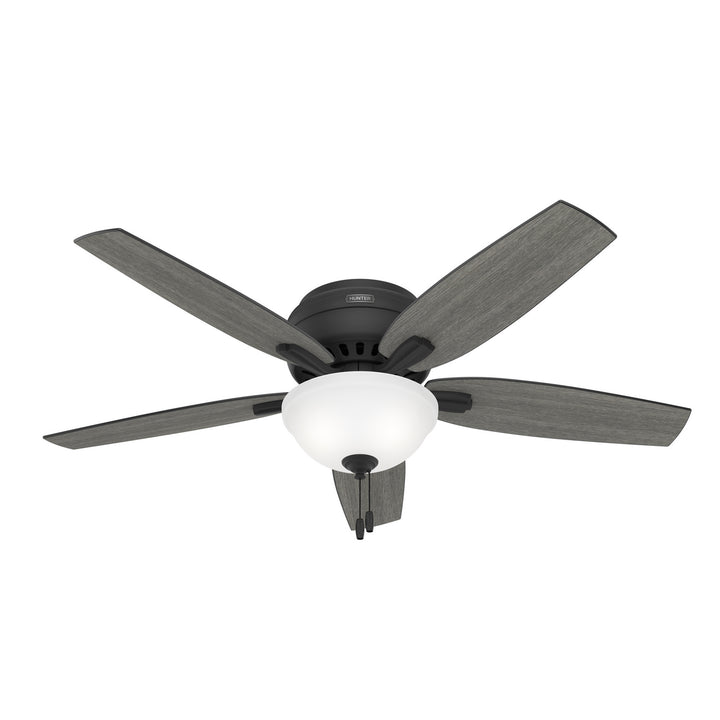 Hunter Fan Newsome Flushmount Pull Chain Ceiling Fan with 18W LED