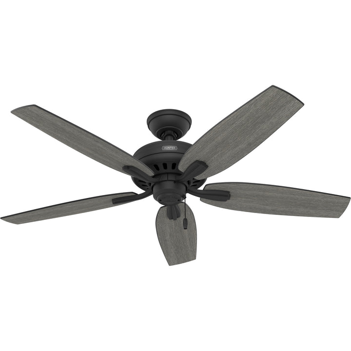 Hunter Fan Newsome 52" Pull Chain Ceiling Fan