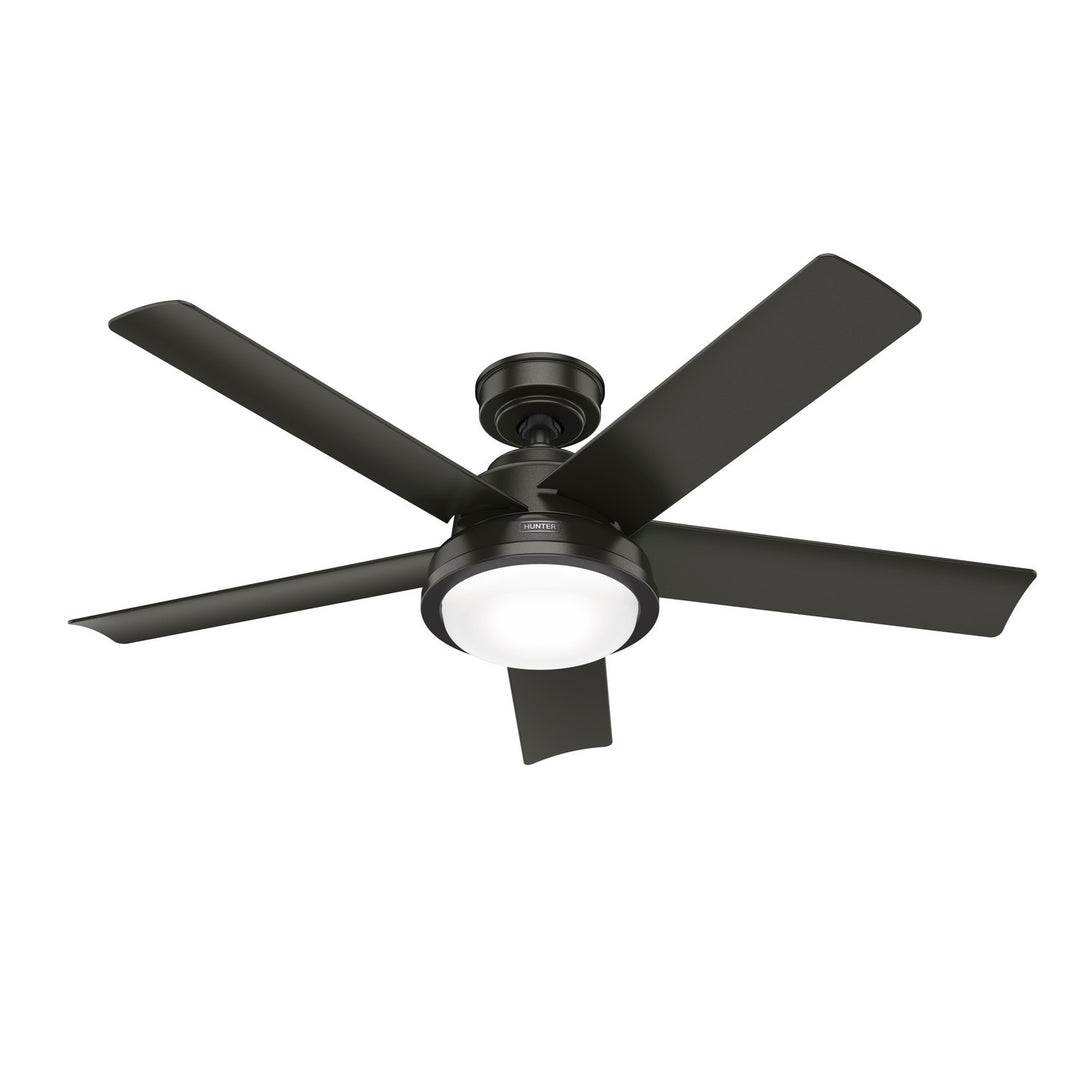 Hunter Fan Seawall 52" Outdoor Ceiling Fan with 20W LED with Wall Control