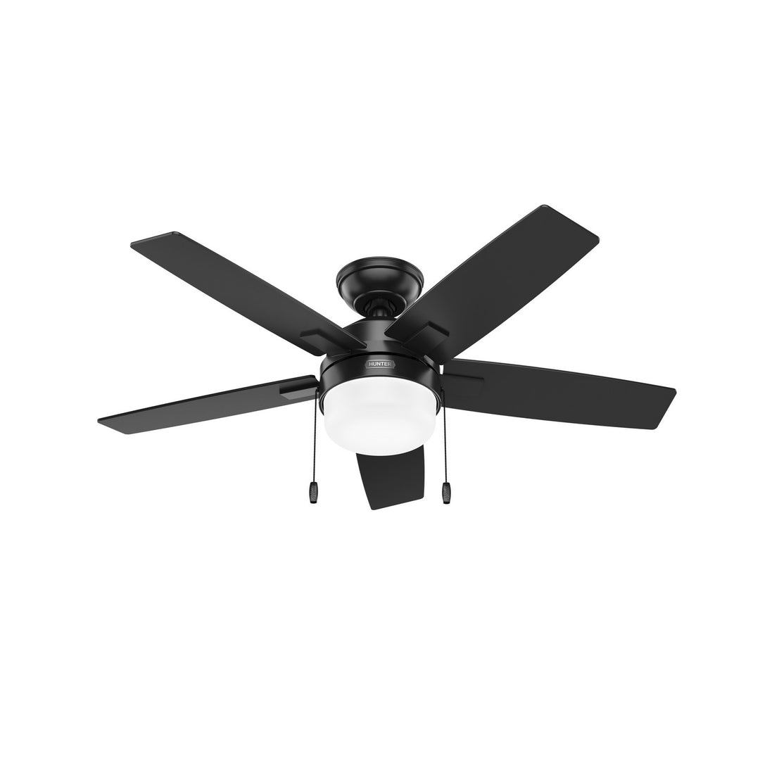 Hunter Fan Anisten Pull Chain Ceiling Fan with 13W LED