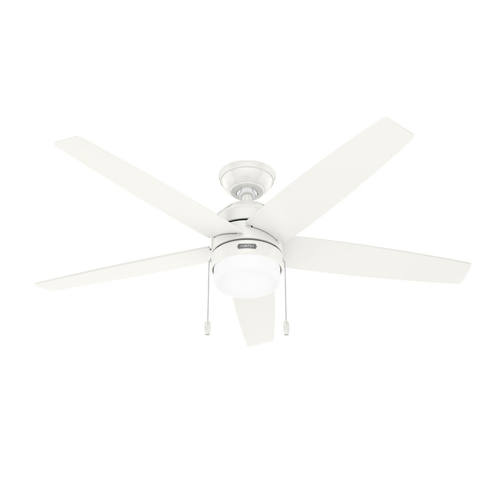 Hunter Fan Bardot Pull Chain Ceiling Fan with 14W LED