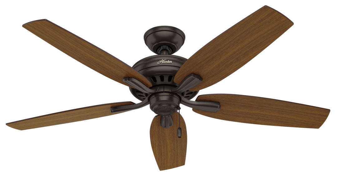 Hunter Fan Newsome 52" Indoor/Outdoor Pull Chain Ceiling Fan