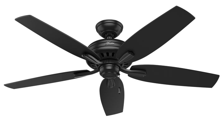 Hunter Fan Newsome 52" Indoor/Outdoor Pull Chain Ceiling Fan