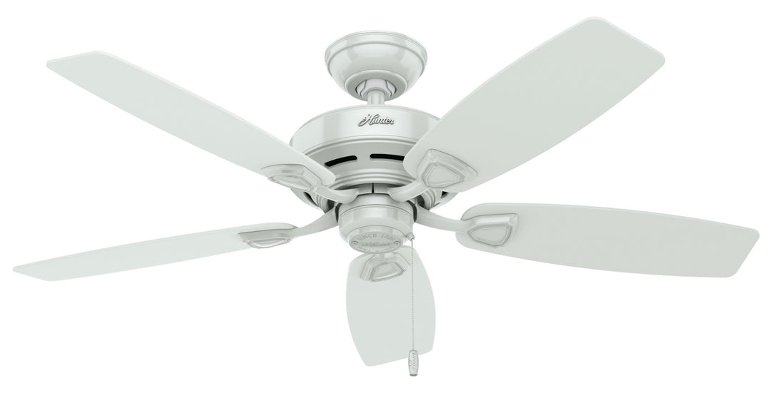 Hunter Fan Sea Wind 48" Outdoor Pull Chain Ceiling Fan