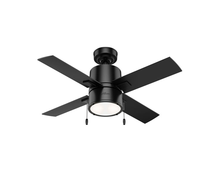 Hunter Fan Beck Pull Chain Ceiling Fan with 18W LED