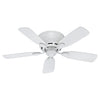 Hunter Low Profile | Indoor Ceiling Fan & Pull Chain