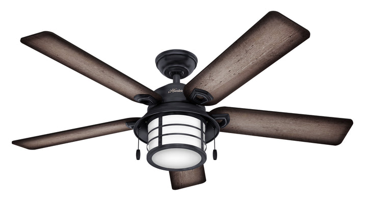 Hunter Fan Key Biscayne 54" Indoor/Outdoor Pull Chain Ceiling Fan with 18W LED