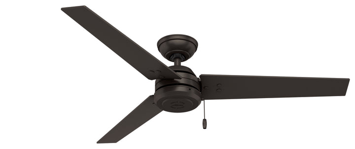 Hunter Fan Cassius Indoor/Outdoor Pull Chain Ceiling Fan