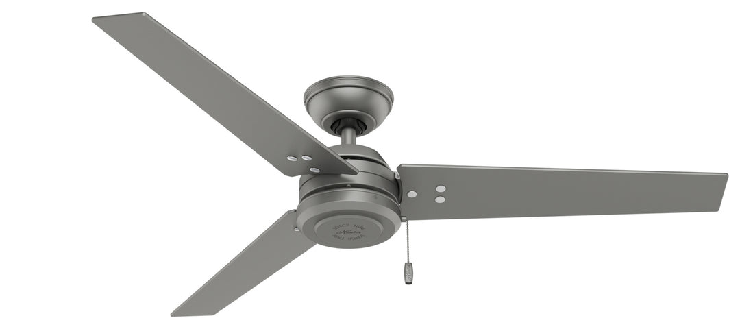 Hunter Fan Cassius Indoor/Outdoor Pull Chain Ceiling Fan