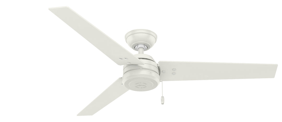 Hunter Fan Cassius Indoor/Outdoor Pull Chain Ceiling Fan