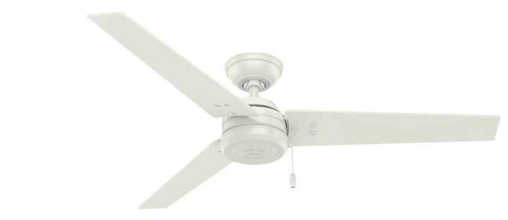 Hunter Fan Cassius Indoor/Outdoor Pull Chain Ceiling Fan