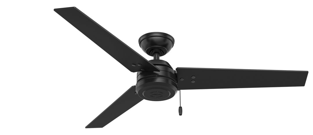 Hunter Fan Cassius Indoor/Outdoor Pull Chain Ceiling Fan