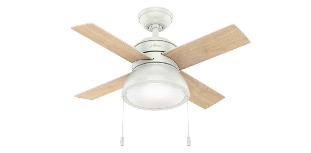 Hunter Fan Loki Pull Chain Ceiling Fan with 18W LED