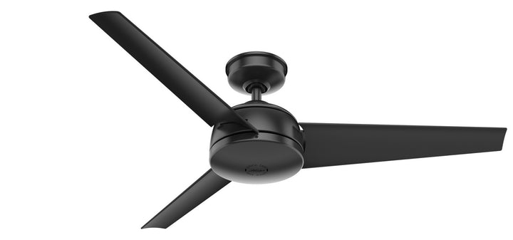 Hunter Fan Trimaran 52" Outdoor Ceiling Fan with Wall Control